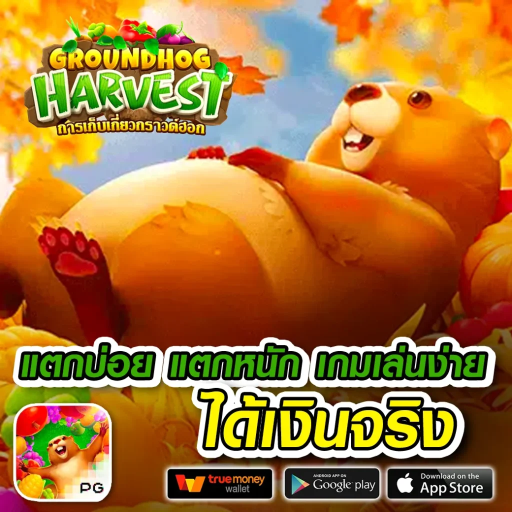 เว็บไทย class 99